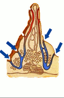 Flux d'air Flux d'air